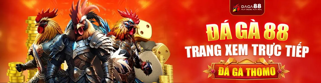 Hình ảnh đá gà trực tuyến Betvision