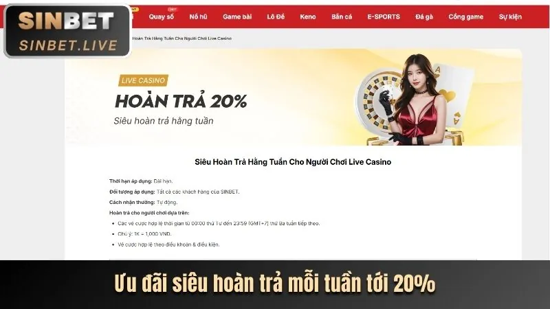 Kênh liên hệ Betvision